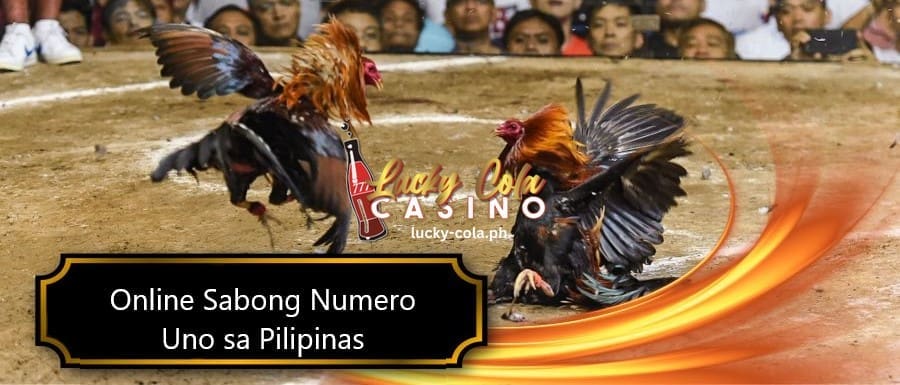 Mga Panuntunan sa Sabong Tournament Lucky Cola