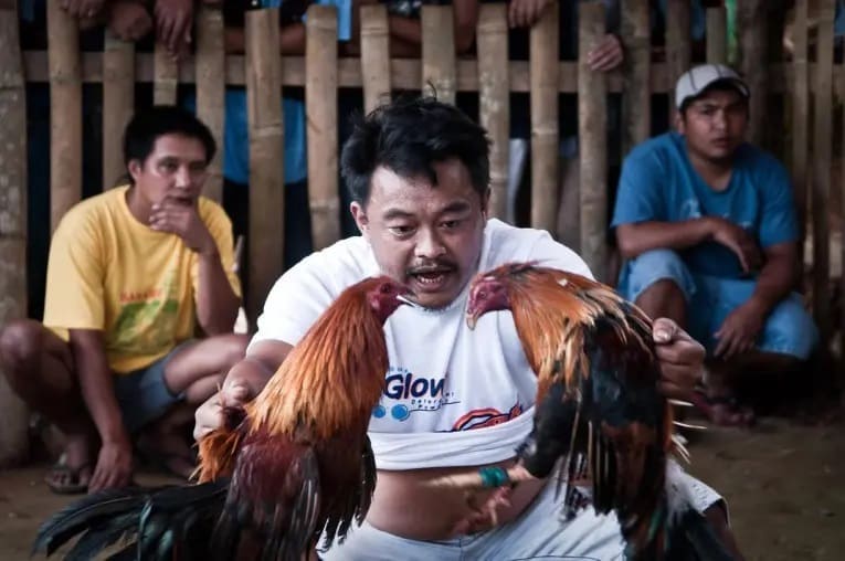 Paano Nakaimpluwensya ang Kultura sa Sabong 3 Lucky Cola